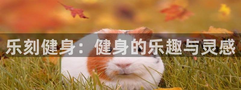 意昂4招商