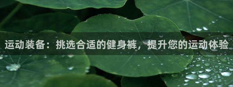 意昂4官方网站