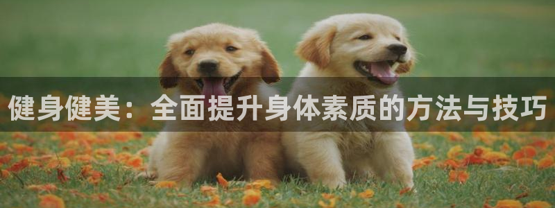 意昂4官方网站