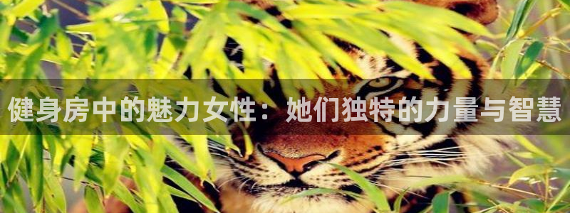 意昂4官方平台