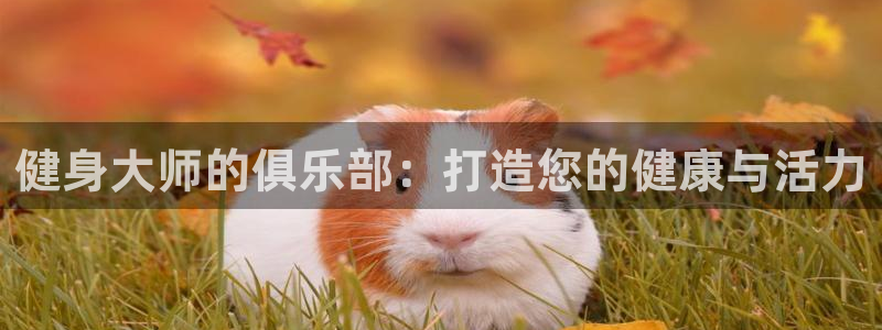 意昂4代理