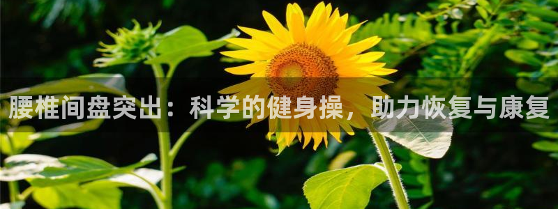 意昂4代理
